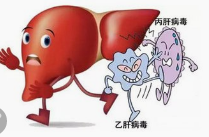 灵芝孢子粉为什么能治肝炎？什么样的灵芝孢子粉有保肝解毒作用？