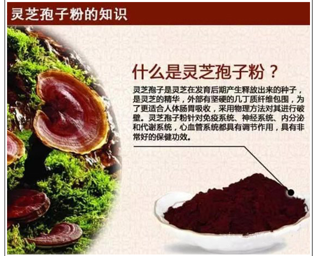 灵芝孢子粉适合哪些人吃？三大人群一定要服用！
