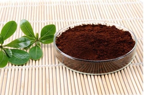 灵芝孢子粉的功效与作用能治什么病？