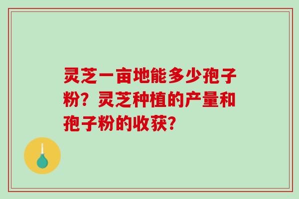 灵芝一亩地能多少孢子粉？灵芝种植的产量和孢子粉的收获？