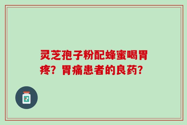 灵芝孢子粉配蜂蜜喝胃疼？胃痛患者的良药？