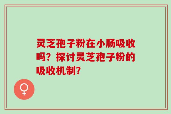 灵芝孢子粉在小肠吸收吗？探讨灵芝孢子粉的吸收机制？