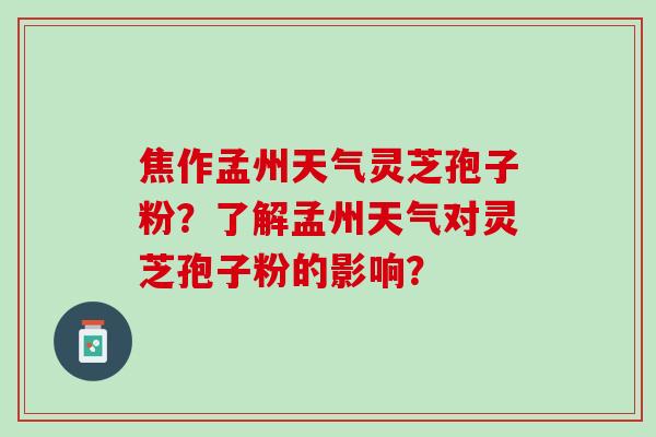 焦作孟州天气灵芝孢子粉？了解孟州天气对灵芝孢子粉的影响？