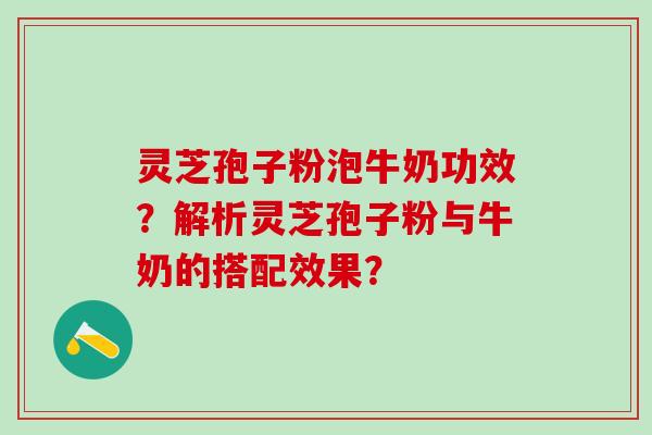 灵芝孢子粉泡牛奶功效？解析灵芝孢子粉与牛奶的搭配效果？