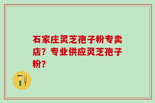 石家庄灵芝孢子粉专卖店？专业供应灵芝孢子粉？