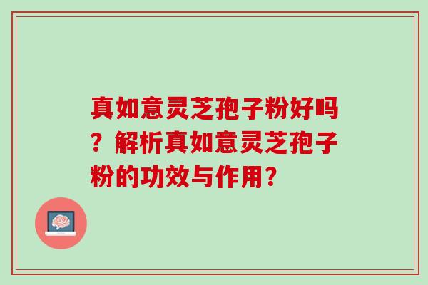 真如意灵芝孢子粉好吗？解析真如意灵芝孢子粉的功效与作用？