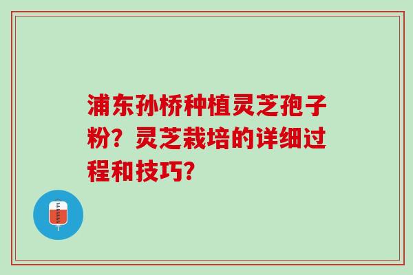 浦东孙桥种植灵芝孢子粉？灵芝栽培的详细过程和技巧？