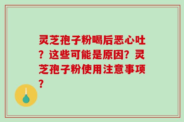 灵芝孢子粉喝后恶心吐？这些可能是原因？灵芝孢子粉使用注意事项？