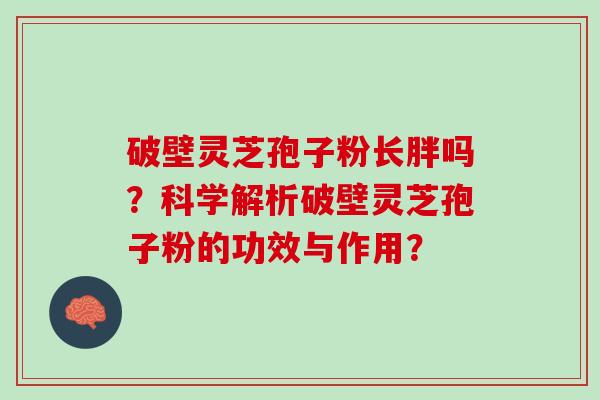 破壁灵芝孢子粉长胖吗？科学解析破壁灵芝孢子粉的功效与作用？