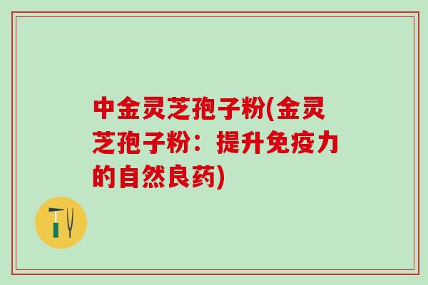 中金灵芝孢子粉(金灵芝孢子粉：提升免疫力的自然良药)