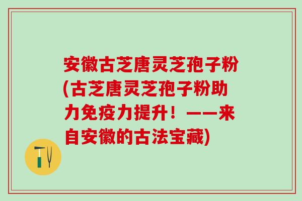 安徽古芝唐灵芝孢子粉(古芝唐灵芝孢子粉助力免疫力提升！——来自安徽的古法宝藏)