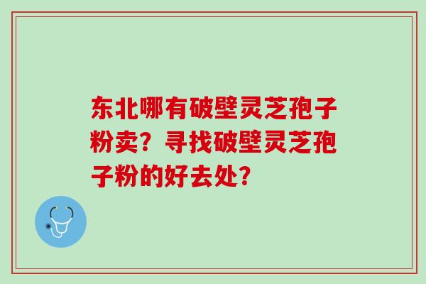 东北哪有破壁灵芝孢子粉卖？寻找破壁灵芝孢子粉的好去处？