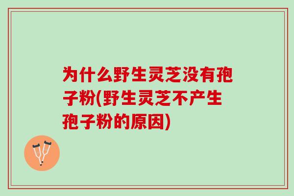 为什么野生灵芝没有孢子粉(野生灵芝不产生孢子粉的原因)