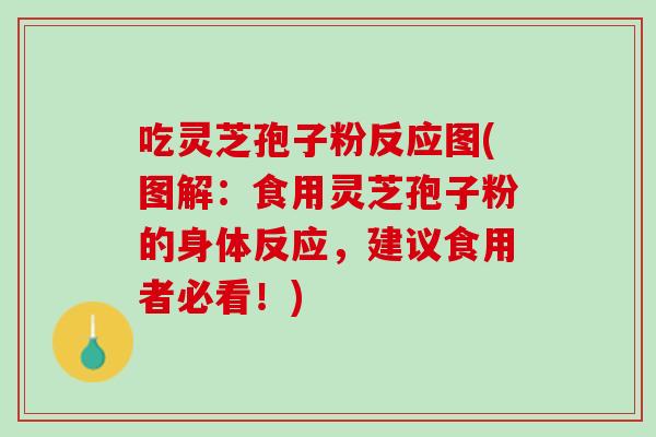 吃灵芝孢子粉反应图(图解:食用灵芝孢子粉的身体反应,建议食用者必看!) 吃灵芝孢子粉反应图(图解:食用灵芝孢子粉的身体反应,建议食用者必看!)