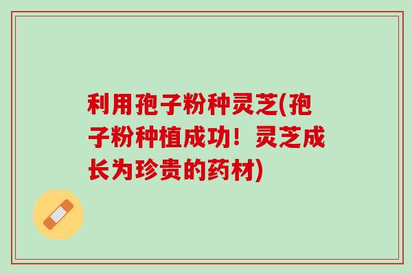利用孢子粉种灵芝(孢子粉种植成功！灵芝成长为珍贵的药材)