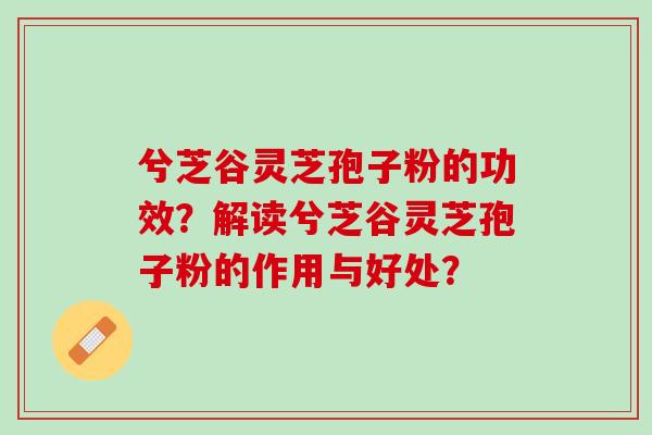 兮芝谷灵芝孢子粉的功效？解读兮芝谷灵芝孢子粉的作用与好处？