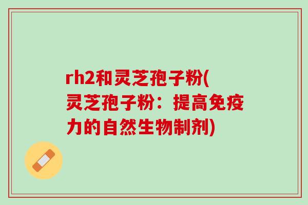 rh2和灵芝孢子粉(灵芝孢子粉:提高免疫力的自然生物制剂) rh2和灵芝孢子粉(灵芝孢子粉:提高免疫力的自然生物制剂)