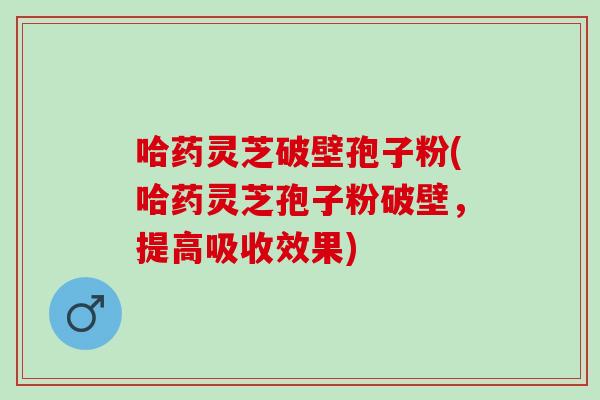 哈药灵芝破壁孢子粉(哈药灵芝孢子粉破壁，提高吸收效果)
