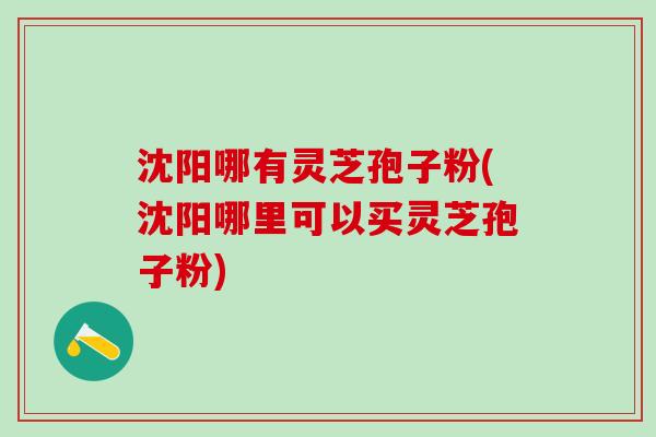 沈阳哪有灵芝孢子粉(沈阳哪里可以买灵芝孢子粉)