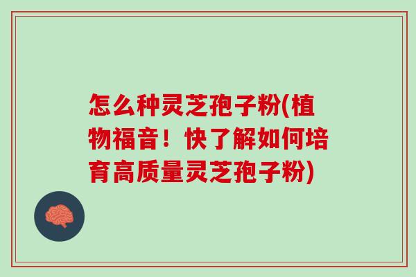 怎么种灵芝孢子粉(植物福音！快了解如何培育高质量灵芝孢子粉)