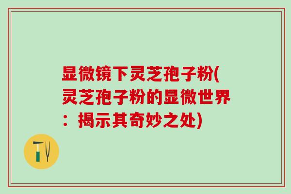 显微镜下灵芝孢子粉(灵芝孢子粉的显微世界：揭示其奇妙之处)
