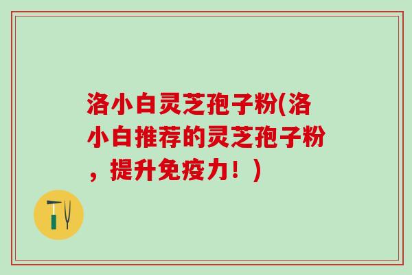 洛小白灵芝孢子粉(洛小白推荐的灵芝孢子粉，提升免疫力！)