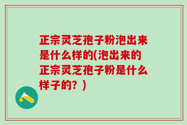 正宗灵芝孢子粉泡出来是什么样的(泡出来的正宗灵芝孢子粉是什么样子的？)