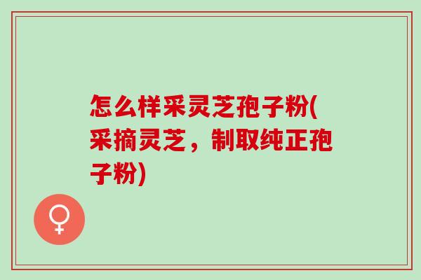 怎么样采灵芝孢子粉(采摘灵芝,制取纯正孢子粉) 怎么样采灵芝孢子粉(采摘灵芝,制取纯正孢子粉)