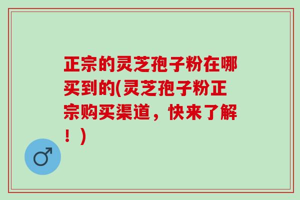 正宗的灵芝孢子粉在哪买到的(灵芝孢子粉正宗购买渠道，快来了解！)