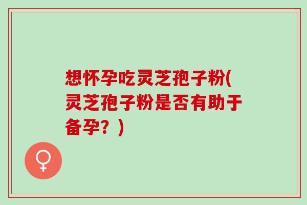 想怀孕吃灵芝孢子粉(灵芝孢子粉是否有助于备孕?) 想怀孕吃灵芝孢子粉(灵芝孢子粉是否有助于备孕?)