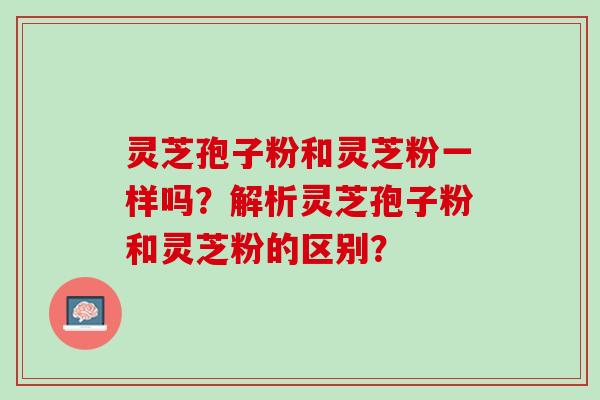 灵芝孢子粉和灵芝粉一样吗？解析灵芝孢子粉和灵芝粉的区别？