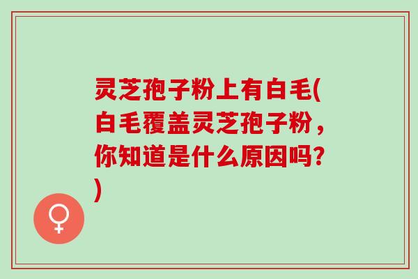 灵芝孢子粉上有白毛(白毛覆盖灵芝孢子粉，你知道是什么原因吗？)