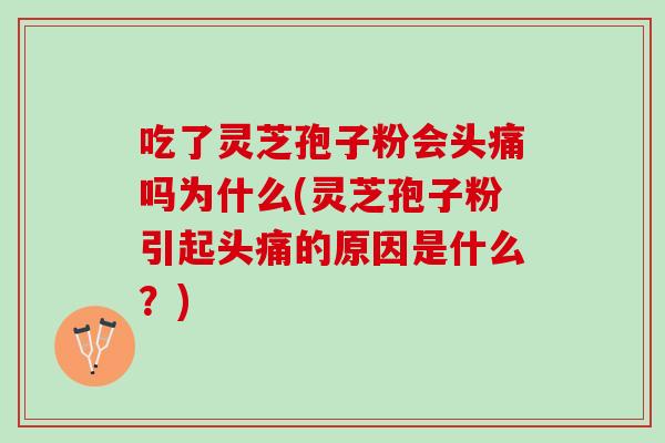 吃了灵芝孢子粉会头痛吗为什么(灵芝孢子粉引起头痛的原因是什么？)