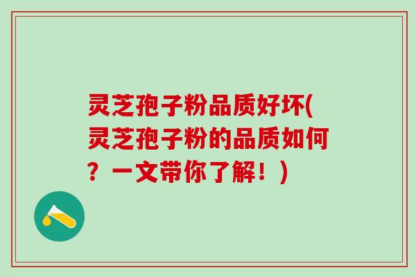 灵芝孢子粉品质好坏(灵芝孢子粉的品质如何？一文带你了解！)
