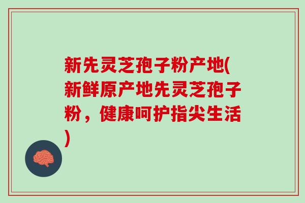 新先灵芝孢子粉产地(新鲜原产地先灵芝孢子粉，健康呵护指尖生活)