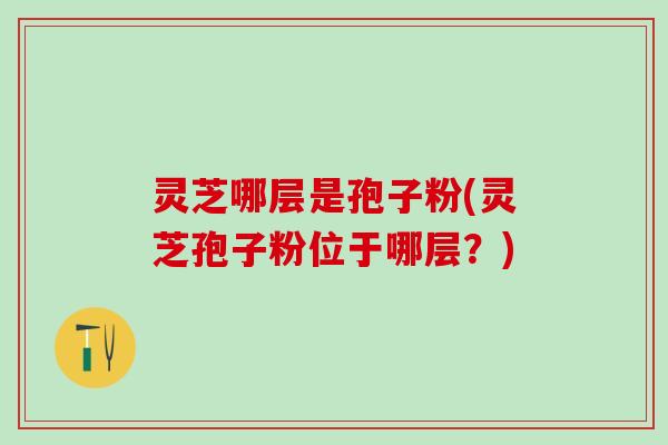 灵芝哪层是孢子粉(灵芝孢子粉位于哪层？)