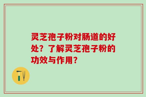 灵芝孢子粉对肠道的好处？了解灵芝孢子粉的功效与作用？