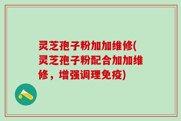 灵芝孢子粉加加维修(灵芝孢子粉配合加加维修，增强调理免疫)