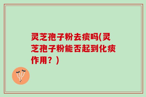 灵芝孢子粉去痰吗(灵芝孢子粉能否起到化痰作用？)