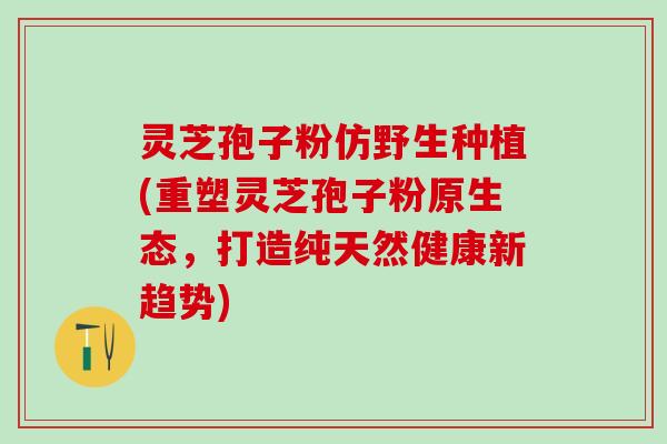 灵芝孢子粉仿野生种植(重塑灵芝孢子粉原生态，打造纯天然健康新趋势)