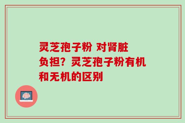 灵芝孢子粉 对肾脏 负担？灵芝孢子粉有机和无机的区别