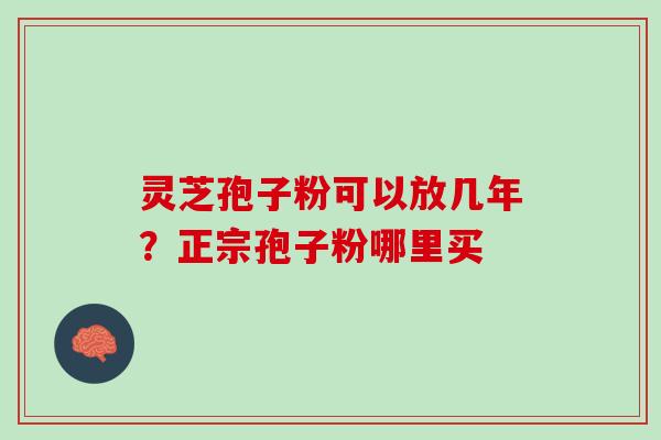 灵芝孢子粉可以放几年？正宗孢子粉哪里买