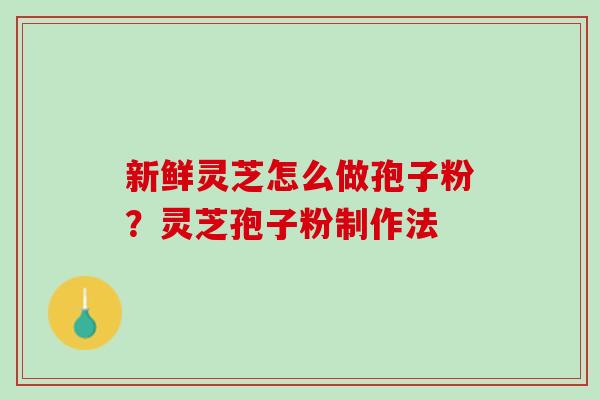 新鲜灵芝怎么做孢子粉？灵芝孢子粉制作法