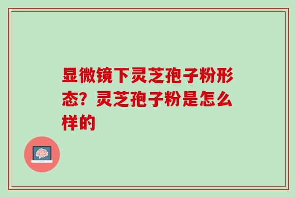 显微镜下灵芝孢子粉形态？灵芝孢子粉是怎么样的