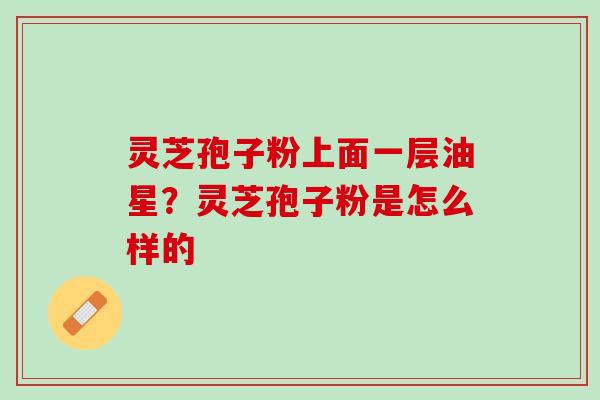 灵芝孢子粉上面一层油星？灵芝孢子粉是怎么样的
