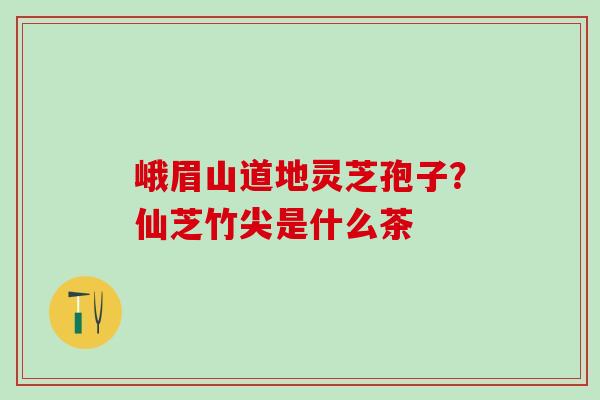 峨眉山道地灵芝孢子?仙芝竹尖是什么茶 峨眉山道地灵芝孢子?仙芝竹尖是什么茶
