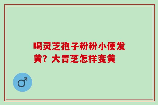 喝灵芝孢子粉粉小便发黄？大青芝怎样变黄