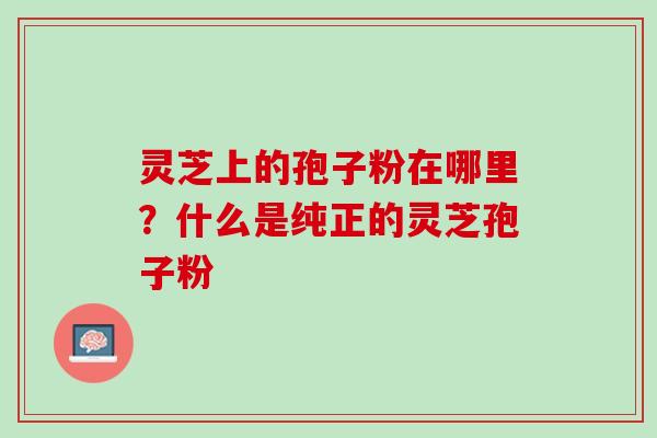 灵芝上的孢子粉在哪里？什么是纯正的灵芝孢子粉