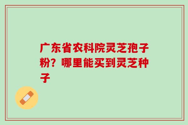 广东省农科院灵芝孢子粉?哪里能买到灵芝种子 广东省农科院灵芝孢子粉?哪里能买到灵芝种子