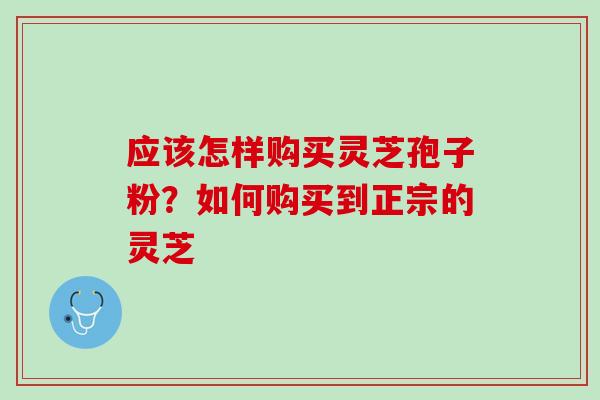 应该怎样购买灵芝孢子粉?如何购买到正宗的灵芝 应该怎样购买灵芝孢子粉?如何购买到正宗的灵芝